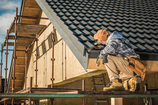 Best Roof Ventilation Installation  in Mapleton, MN