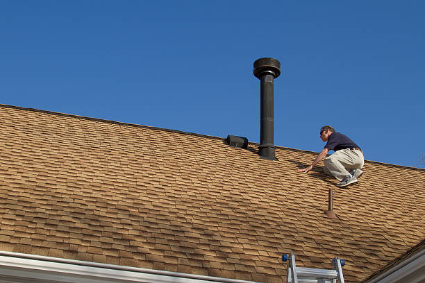 Best Metal Roofing Installation  in Mapleton, MN